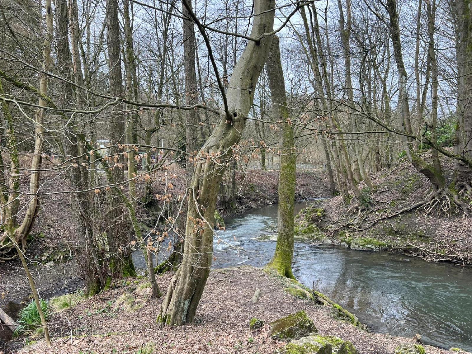 100m E-ladestation - Max 4 Pers - Duesseldorf - Ruhrgebiet - Pilgerstaette Apartment Velbert